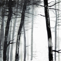 Bergwald, 2015