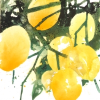 Zitronen II, 2015