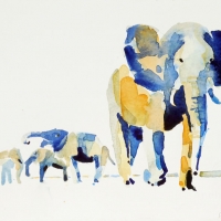 Elefanten, 2016