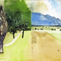 Murnauer Moos, 2016