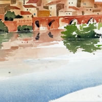 Albi 01, Süd-FR, 2017