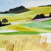 Felder I, 2017