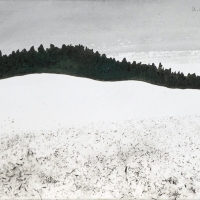 Verschneite Felder, 2017