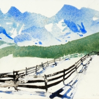 Weidezaun, AT, 2018