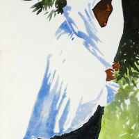 Marokkanerin, MA, 2019