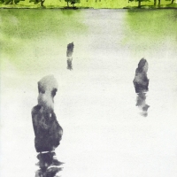 Tempelteich, JP, 2019