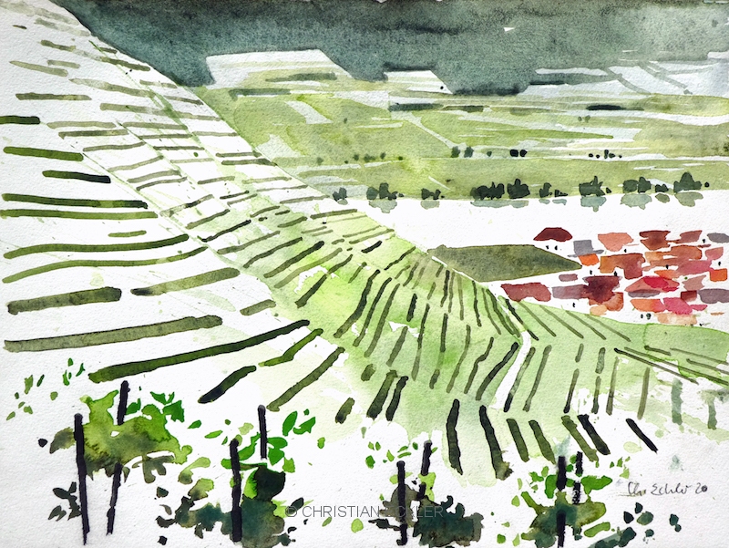 Weinberge, Spitz, Wachau, A, 2020