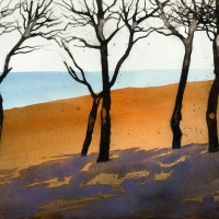 Pinien 01, Algarve, P, 2020