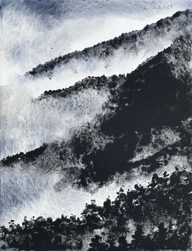 Nebel im Bergwald, La Palma