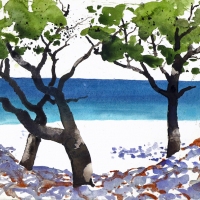 Apella Beach, Karpathos, GR