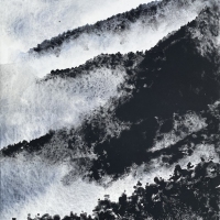 Nebel im Bergwald, La Palma