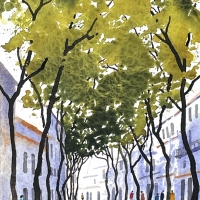 Baumdach, Jerez de la Frontera