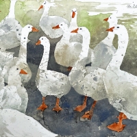 Gänse