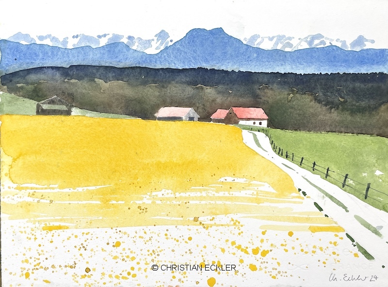Rapsfeld, Oberbayern