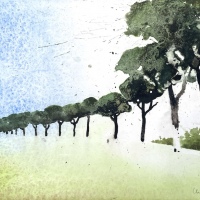 Pinienallee 1