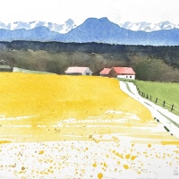 Rapsfeld, Oberbayern