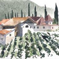 Weingut, Südtirol