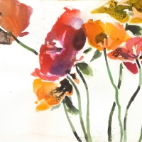 Bunter Mohn
