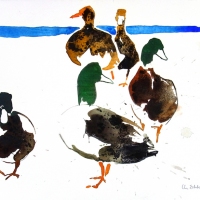 Enten