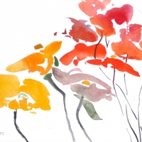 Mohnblumen