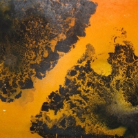 Geomorph I, 2010