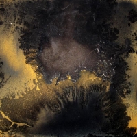 Geomorph II, 2010