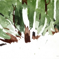 Tamarisken I, 2013
