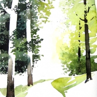 Waldweg, 2012