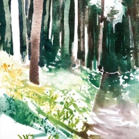 Waldstück, 2010