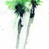 Palmen, 2005