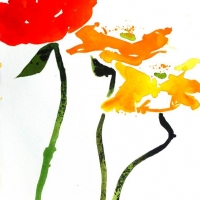 Mohn II, 2013