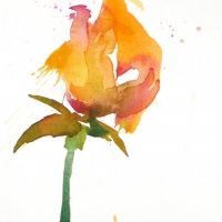 Rose, 2010