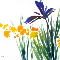 Trollblumen und Iris, 2010
