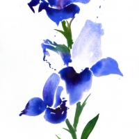 Iris, 2010