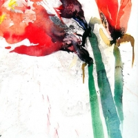 Amaryllis I, 2013