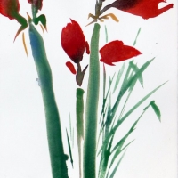 Amaryllis II, 2008