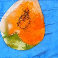 Melone, 2011