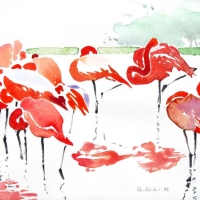 Flamingos, 2009