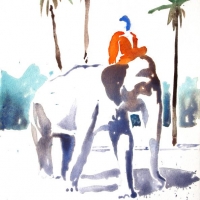 Elefantenreiter, 2011