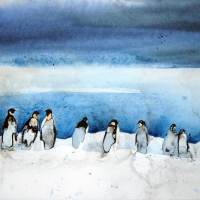 Pinguine III, 2007