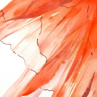Olivennetze II, 2012