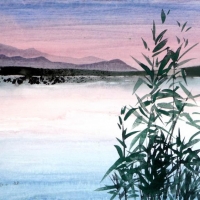 Staffelsee, 2007